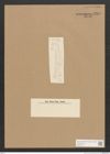 Diatomeae indet. Zeichnungen Sammlung Grunow Nr. 2834 (NHMW-BOT-W0370144)